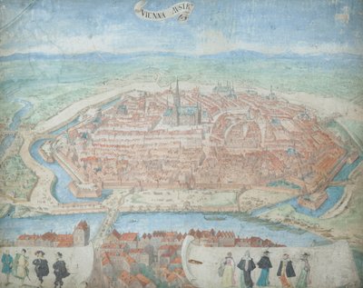 View of Vienna from a Bird