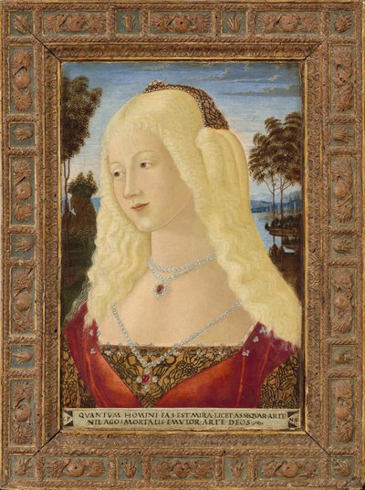 Portrait of a Lady by Neroccio de