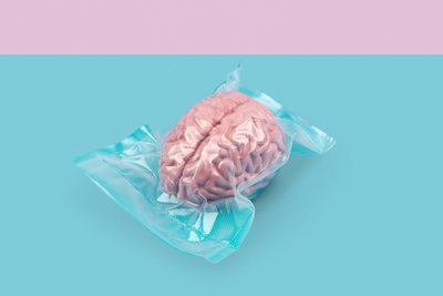 Brain, 2020 by Niccolò Fioriti