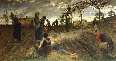 Seeding in Tuscany by Niccolo Cannicci