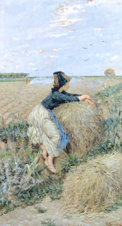 Wheatgrass in Tombolo by Niccolo Cannicci