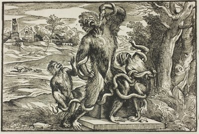 Laocoön by Nicolò Boldrini