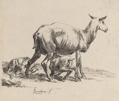 Ewe Nursing Her Lamb by Nicolaes Berchem