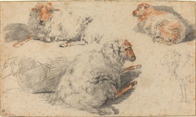 Sheep by Nicolaes Pietersz Berchem
