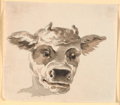 Minotaur