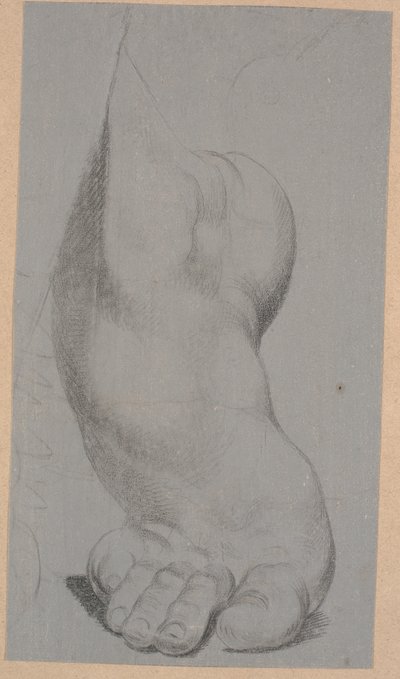Study of a Foot by Nicolai Abildgaard