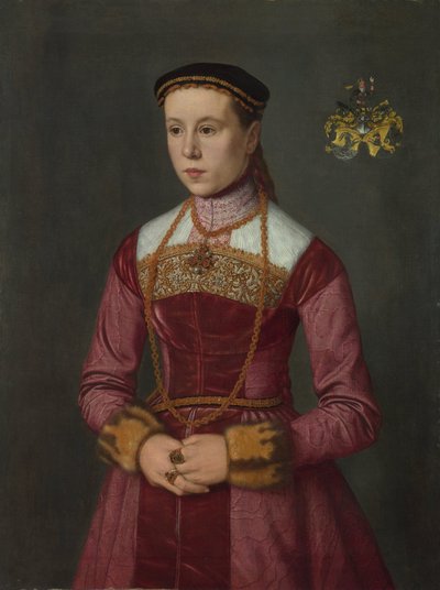 Portrait of a Young Lady by Nicolas Neufchatel