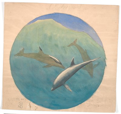 Jumping Dolphins by Niels Skovgaard