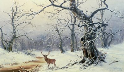 Unknown Image by Nils Hans Christiansen