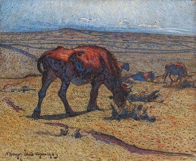 Heifers by Nils Kreuger