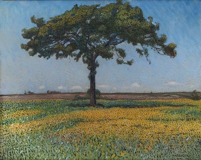Young Oak by Nils Kreuger