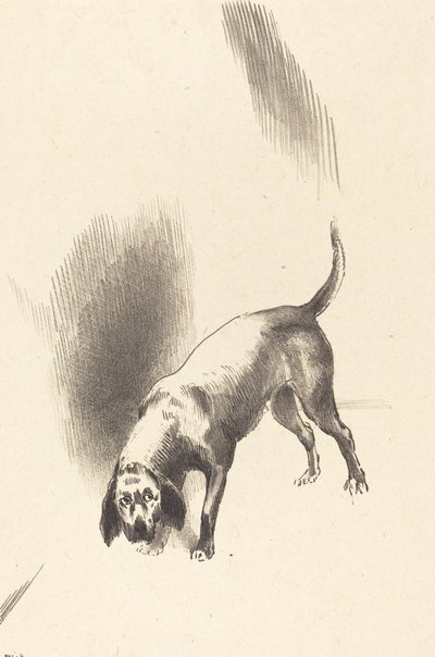 The Dog by Odilon Redon