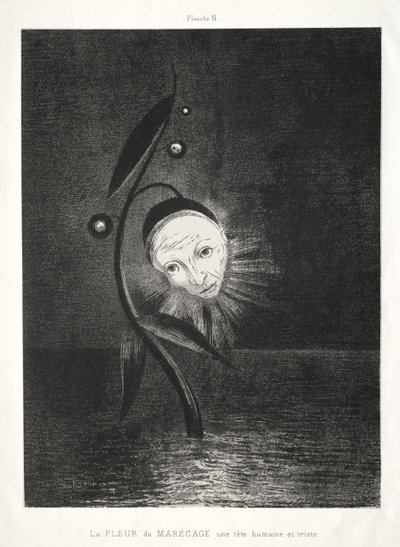The Marsh Flower, a Sad Human Head by Odilon Redon
