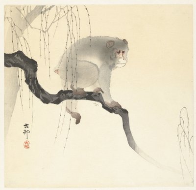 Monkey on Tree Branch by Ohara Koson