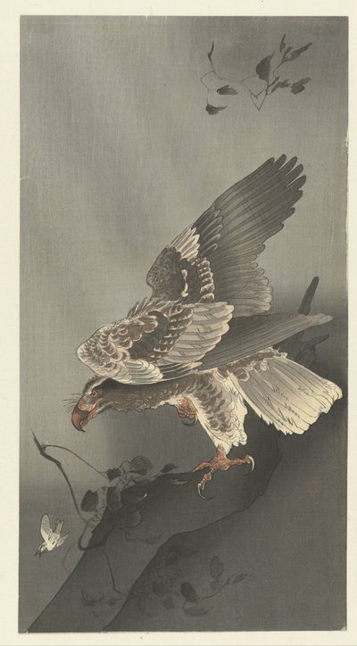 Eagle Looking for Prey by Ohara Koson