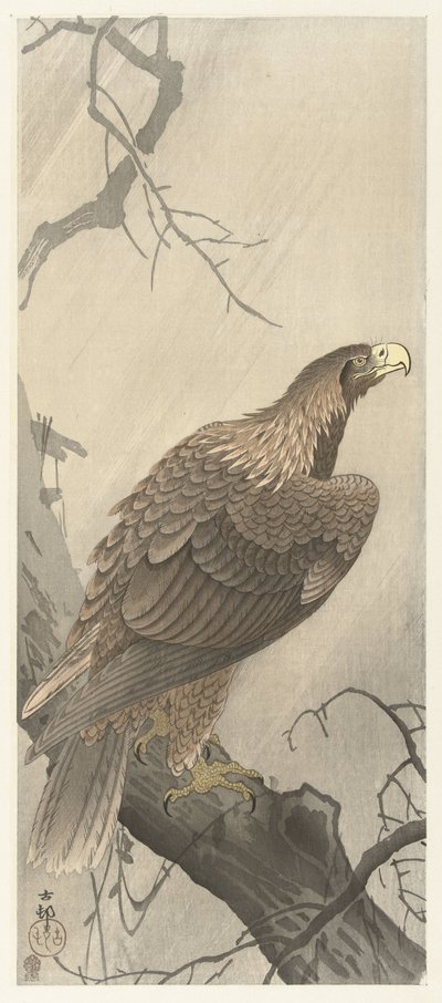 Eagle on a Tree Branch by Ohara Koson