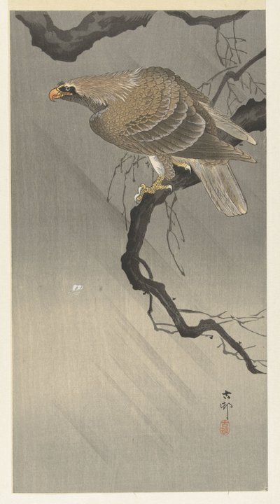 Eagle on Branch by Ohara Koson