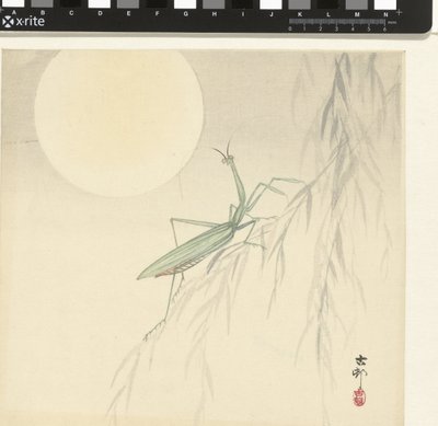 Praying Mantis by Ohara Koson