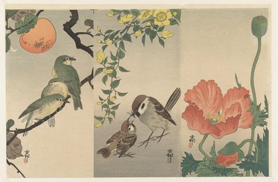 Birds and Plants by Ohara Koson