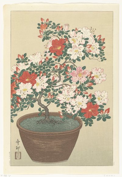 Blooming Azalea in Brown Pot by Ohara Koson