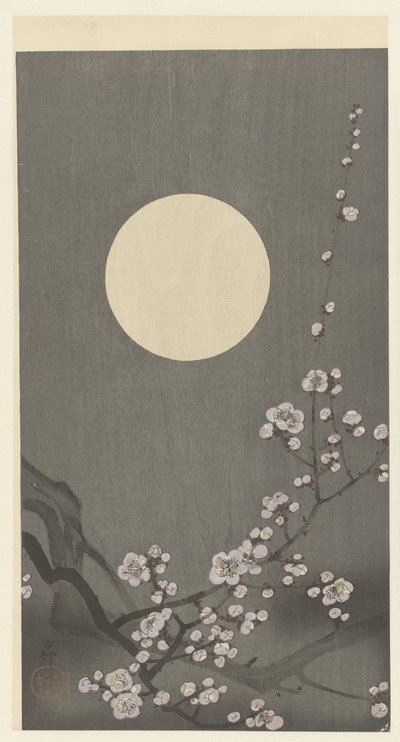 Blooming Plum Blossom in Full Moon by Ohara Koson