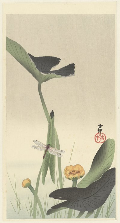 Dragonfly and lotus flower by Ohara Koson