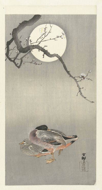 Ducks by Full Moon by Ohara Koson