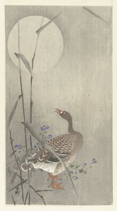 Goose by Full Moon by Ohara Koson