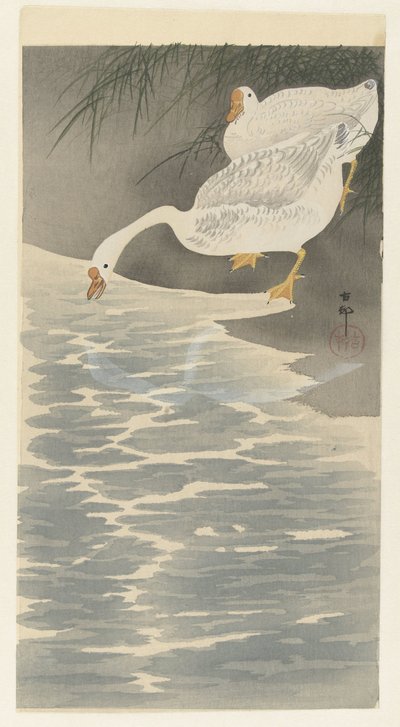 Geese on the Shore by Ohara Koson