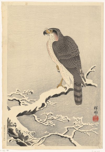 Hawk on Snowy Pine Branch by Ohara Koson