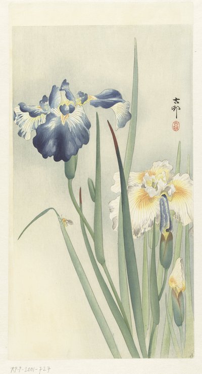Irises by Ohara Koson
