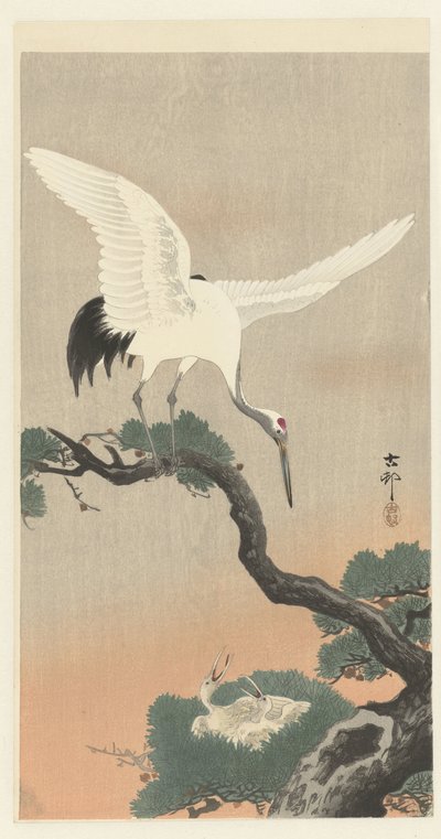 Japanese Crane on Pine Branch by Ohara Koson