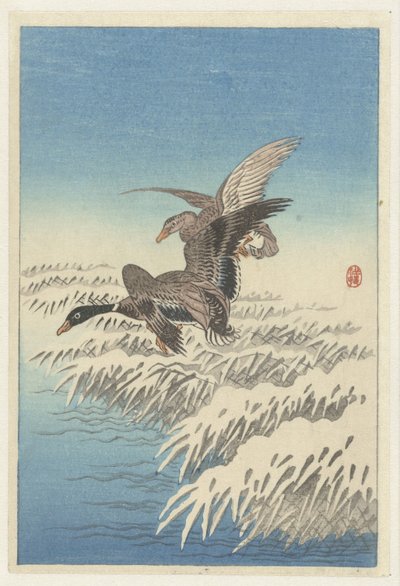 Pair of Ducks Flying Over Snowy Reed Bed by Ohara Koson