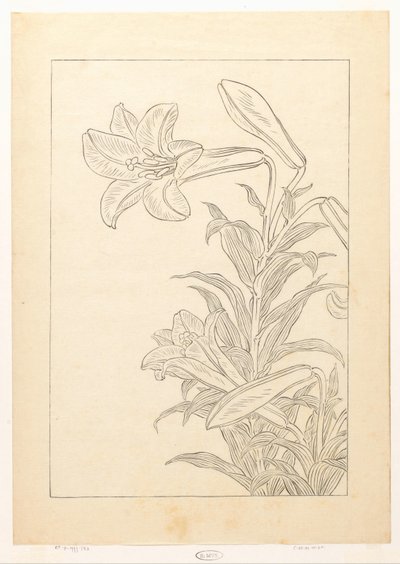 Lilies by Ohara Koson