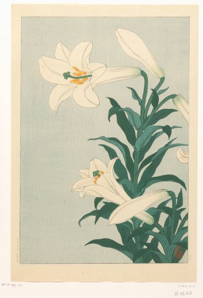 Lilies by Ohara Koson