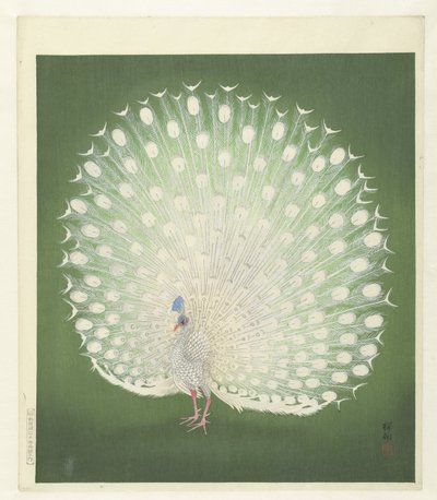 Peacock by Ohara Koson