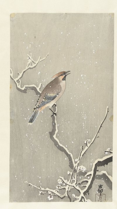 Waxwing on snowy branch by Ohara Koson