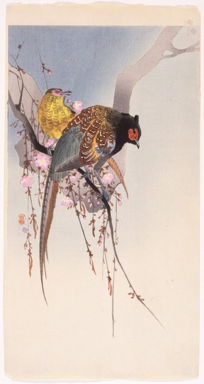 Pheasants and Hanging-Cherry by Ohara Koson