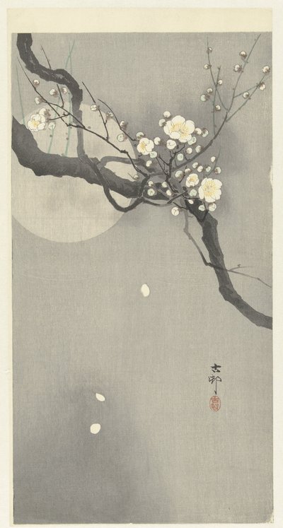 Plum Blossom and Full Moon by Ohara Koson