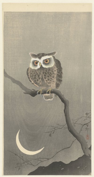 Long-eared Owl on Bare Tree Branch by Ohara Koson