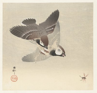 Tree Sparrows and Insect by Ohara Koson