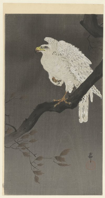 Snow Eagle on a Branch by Ohara Koson