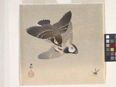 Sparrows Chasing Flying Insect by Ohara Koson