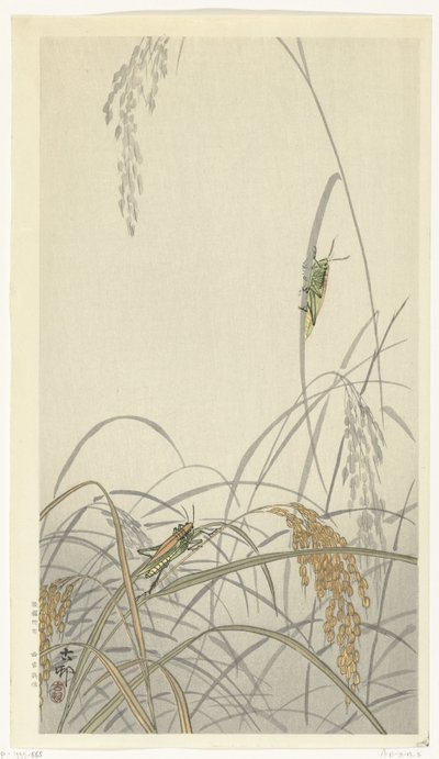 Grasshoppers on Rice Plants by Ohara Koson