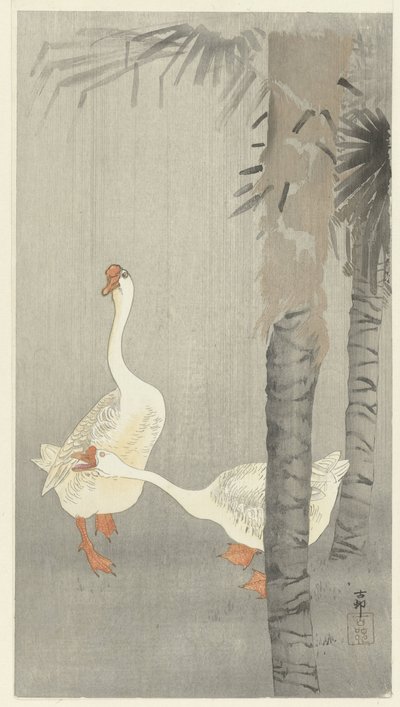 Tame Geese in Rain by Ohara Koson