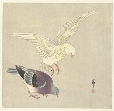 Two Doves by Ohara Koson