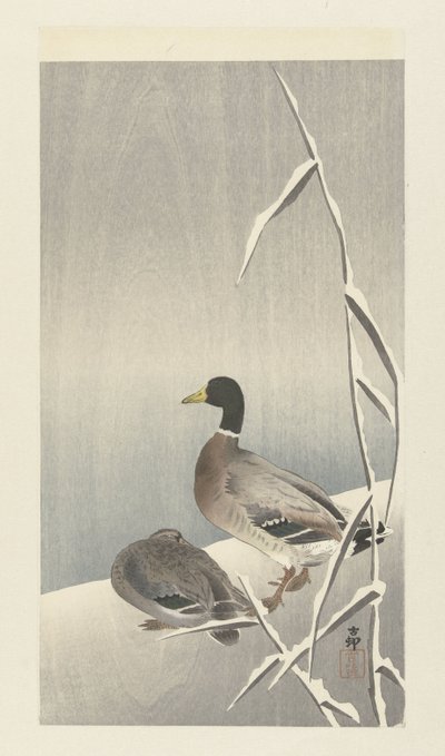 Two Ducks on Snowy Reed by Ohara Koson
