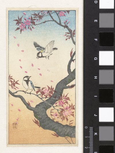 Two Great Tits by a Blossoming Tree by Ohara Koson
