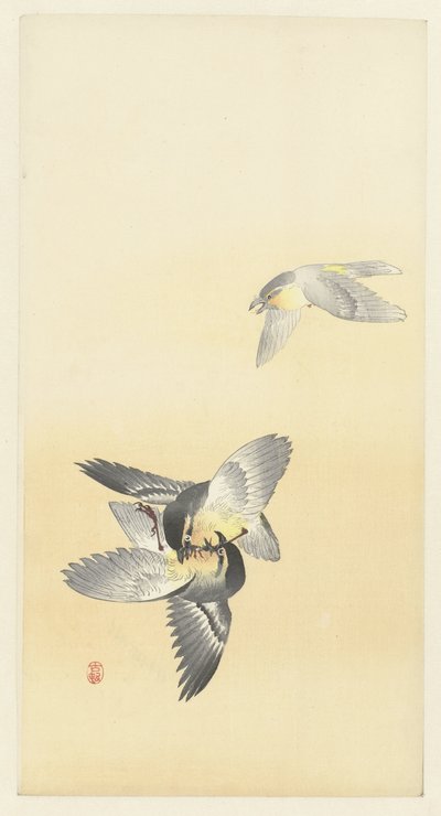Two Fighting Birds by Ohara Koson