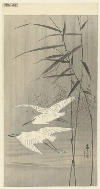Two Egrets in Flight by Ohara Koson